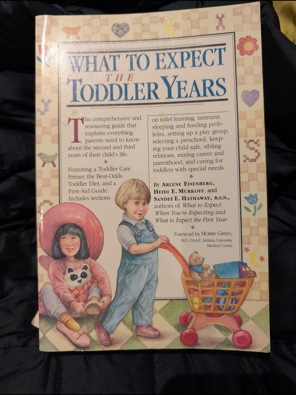 What to Expect: The Toddler Years - Classic Parenting Guide (Blue & Cream)
